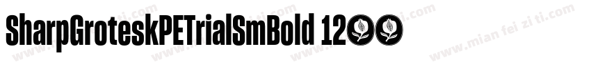 SharpGroteskPETrialSmBold 12字体转换